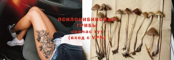 PSILOCYBIN Аркадак