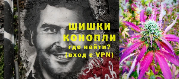PSILOCYBIN Аркадак