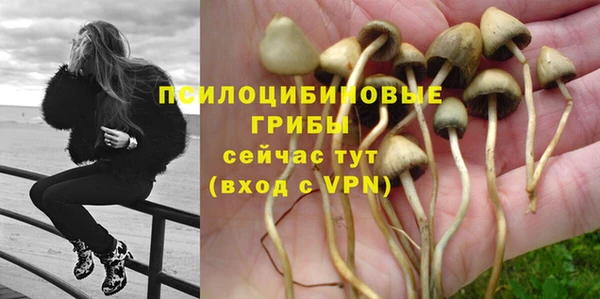 jwh Арсеньев