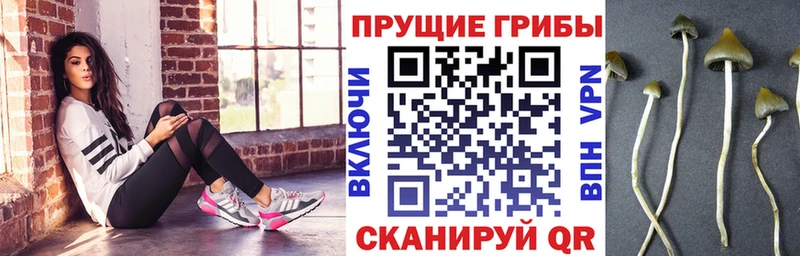 купить закладку  Покачи  Галлюциногенные грибы мухоморы 
